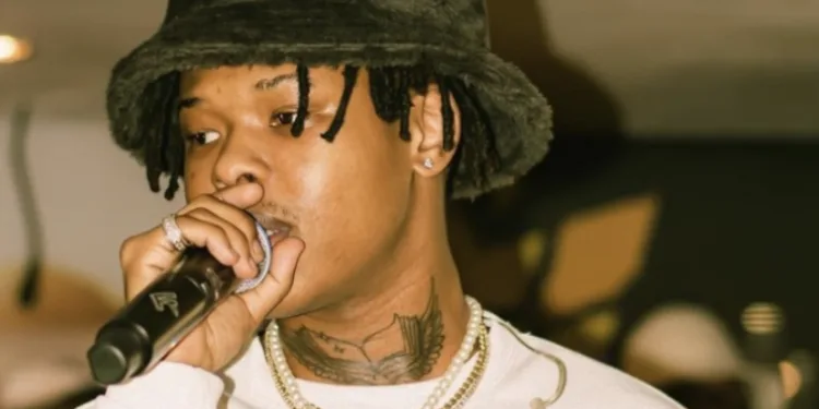 I see my money now – Nasty C talks life as an independent artiste