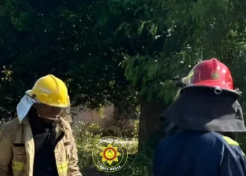 GNFS safely moves bee swarm at Okorase Nyarkroma