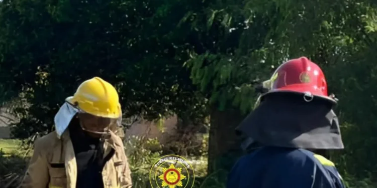 GNFS safely moves bee swarm at Okorase Nyarkroma