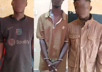 Police arrest 10 suspects over viral video of women being abused in Wassa Dawanrong