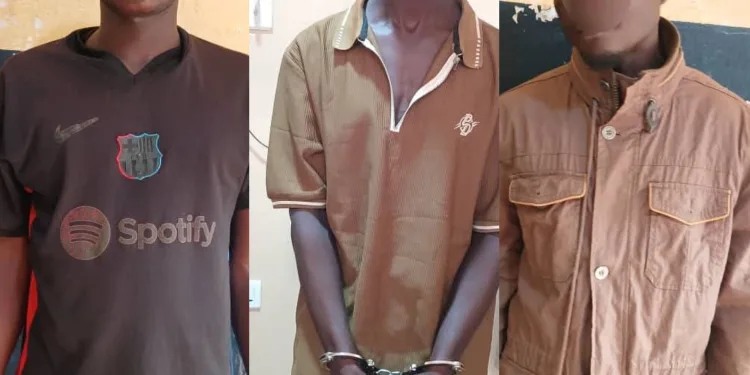 Police arrest 10 suspects over viral video of women being abused in Wassa Dawanrong