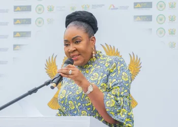 Comments attributed to Naa Torshie fabricated, baseless – Ken Agyapong Camp