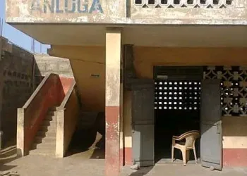 V/R: Bee attack at Anloga E.P. basic school claims 2 lives, leaves 28 Injured