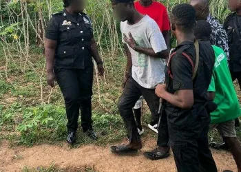 Three suspects arrested in Kwahu Nkwatia for narcotics, ammunition possession