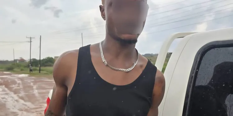 Police rescue victim, arrest suspect in viral domestic abuse case