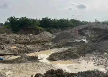 NAIMOS stops wanton havoc to cocoa farms by galamseyers at Adanse Anomabo