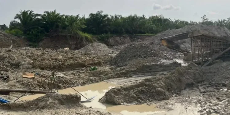 NAIMOS stops wanton havoc to cocoa farms by galamseyers at Adanse Anomabo
