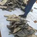 Forestry Commission seizes 3,967 dried sharks fin