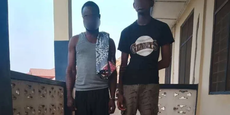 Two arrested for unlawful possession of ammunition