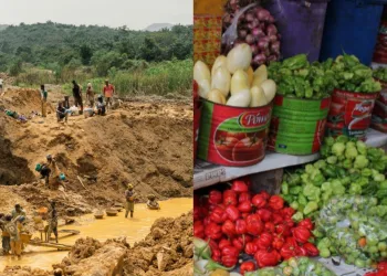 Georgina Appiah Amponsah: Galamsey: The enemy of Ghana’s agriculture