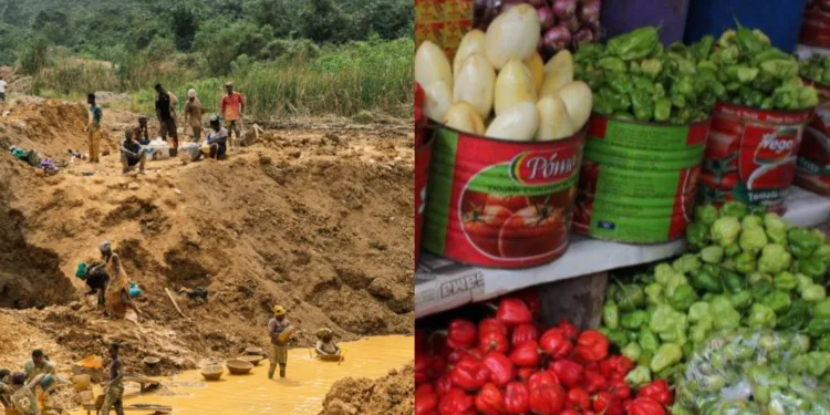 Georgina Appiah Amponsah: Galamsey: The enemy of Ghana’s agriculture