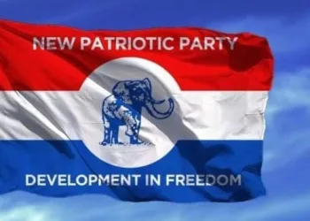 NPP urged to withdraw from 2028 general elections, seek group counseling