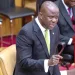 Ghana’s foreign policy must be conducted with full parliamentary oversight – Abu Jinapor to gov’t
