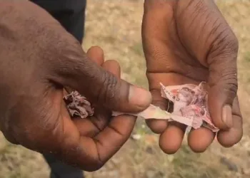 NPP presidential primary: Suhum delegate alleges ‘fake’ currency note in envelope