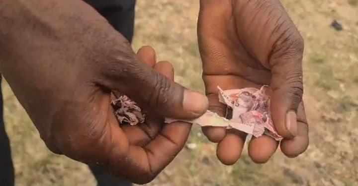NPP presidential primary: Suhum delegate alleges ‘fake’ currency note in envelope