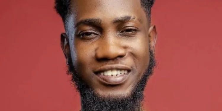 I don’t take ladies as just friends; I will sleep with you — Ypee