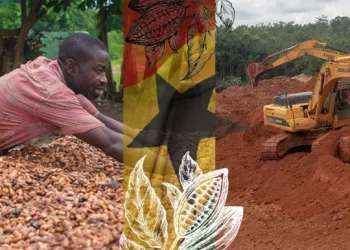 Galamsey for cocoa- The crying of the poor Ghanaian cocoa farmer!