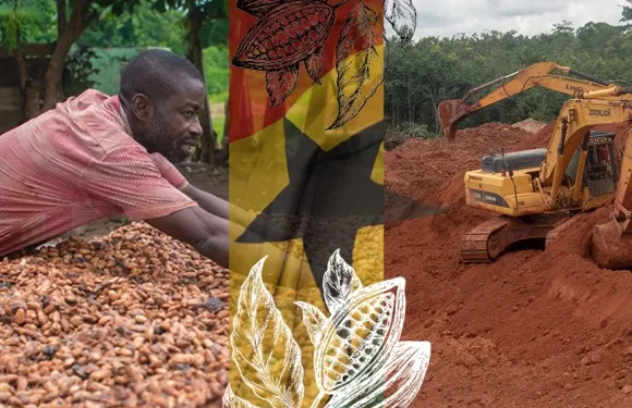 Galamsey for cocoa- The crying of the poor Ghanaian cocoa farmer!