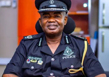 NPP presidential primaries not grounds for hooliganism – Police warns