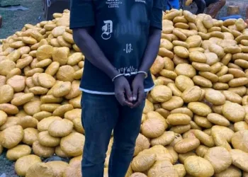 Oti Region: Police intercept truck concealing 4,000 parcels of suspected narcotics