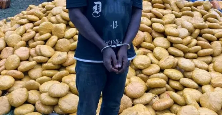 Oti Region: Police intercept truck concealing 4,000 parcels of suspected narcotics