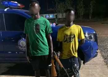 Driver and mate arrested over unlawful firearm possession