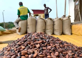 Cocoa producer price reduced to GH¢41,392 per tonne and GH¢2,587 per bag