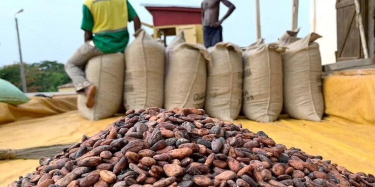 Cocoa producer price reduced to GH¢41,392 per tonne and GH¢2,587 per bag
