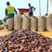 Cocoa producer price reduced to GH¢41,392 per tonne and GH¢2,587 per bag