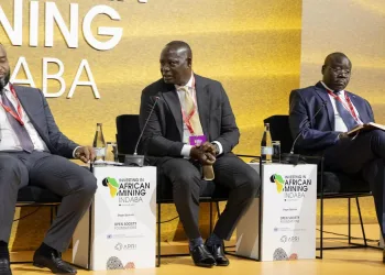 African integration requires collective will – Lands Minister