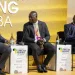 African integration requires collective will – Lands Minister