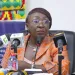 Fugu gets boost: Ministers push value‑chain growth and cultural promotion