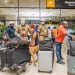 NACOC intensifies drug detection operations at KIA