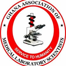GMLS advocates comprehensive national emergency care policy to end ‘No Bed Syndrome’