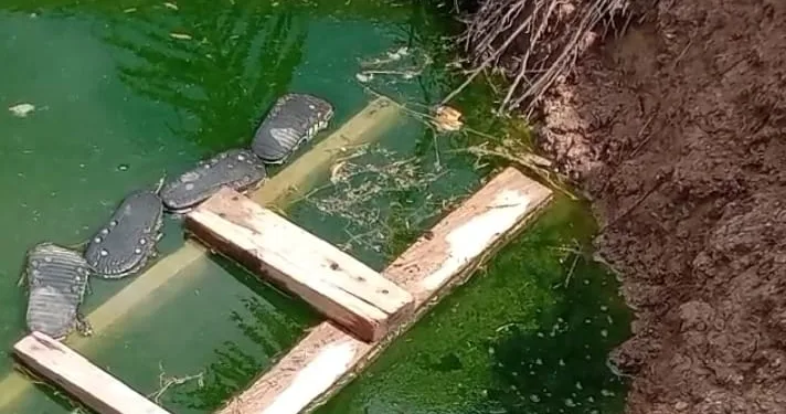 Two schoolchildren drown in uncovered manhole at Somanya