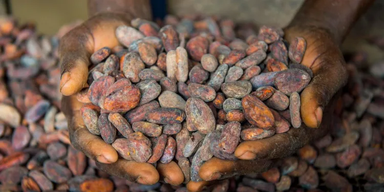 COCOBOD Board waive sitting allowance to support sector reforms
