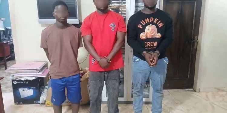 Three arrested in Ahafo Region over illegal firearms possession and alleged robbery plot