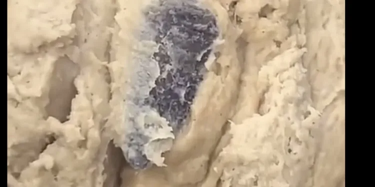 Health alert: Sachet water concealed in dough to prepare Banku (video)