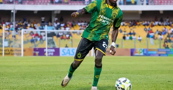 No salary for new Black Stars technical team – Sports Minister