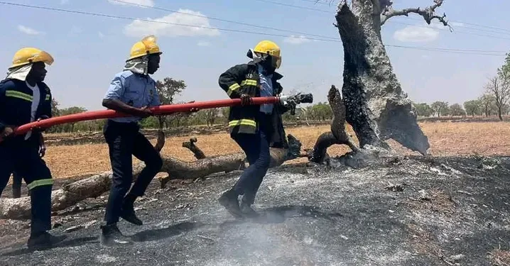 GNFS saves NEDCo properties from destruction at Boku amid inferno