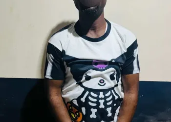 Suspect who threatened high court judge in viral video arrested
