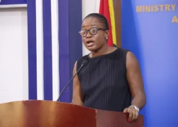 I never received $25m to paint interchanges in Accra – Akufo-Addo’s daughter