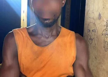 Police arrest farmer in connection with murder of 80‑year‑old woman