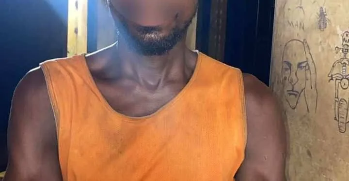 Police arrest farmer in connection with murder of 80‑year‑old woman