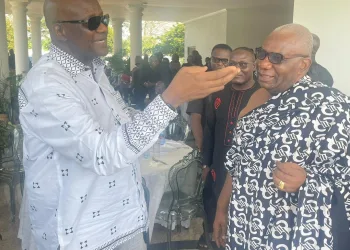 NPP elections: Afoko meets aspirants, party executives