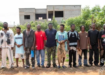 93 Nigerian nationals arrested for internet fraud and immigration-related breaches