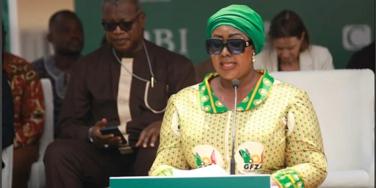 Government targets new industrial enclave in Afienya to create more jobs