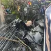 Two perish in helicopter crash at Tema Community 1