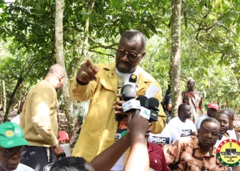 NDC members sending us death threats – Annoh Dompreh