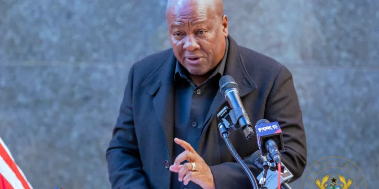Stop erasing the history of Africans enslaved in slave trade – President Mahama
